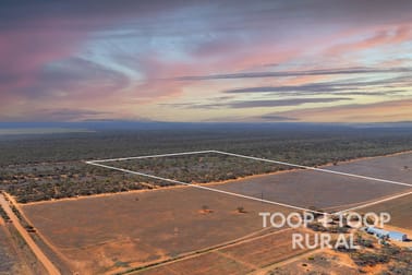 1265/ Warnecke Road Monash SA 5342 - Image 2