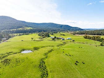 1655 Liffey Road Liffey TAS 7301 - Image 2