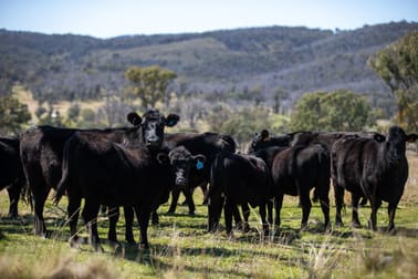 11853 New England Highway Armidale NSW 2350 - Image 2