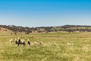 1922 Peelwood Road Crookwell NSW 2583 - Image 2