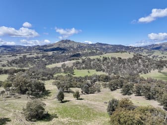 "The Basins Nth" Chilcotts Creek Road Willow Tree NSW 2339 - Image 3