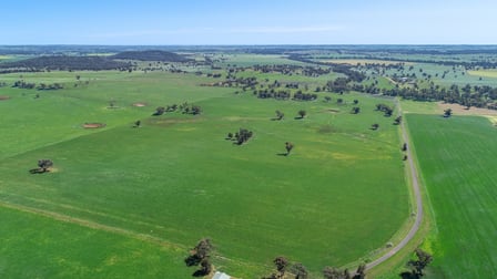169R Benolong Road Geurie NSW 2818 - Image 1