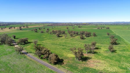 169R Benolong Road Geurie NSW 2818 - Image 2