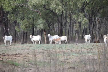 1643 Tondara Road Bogie QLD 4805 - Image 3