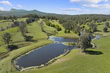 703 Brays Creek Road Brays Creek NSW 2484 - Image 3