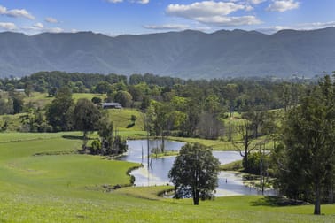 703 Brays Creek Road Brays Creek NSW 2484 - Image 1