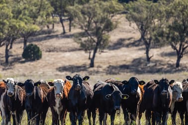 22 Nara-Boah Waterhole Road Goombungee QLD 4354 - Image 1
