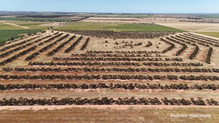 Lot 57 Snell Road Nangeenan WA 6414 - Image 2
