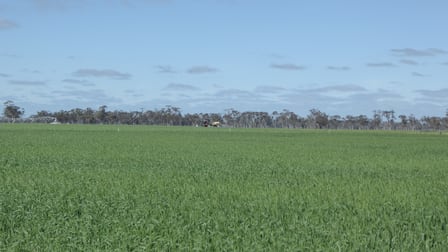139 Packer Road Bordertown South SA 5268 - Image 2