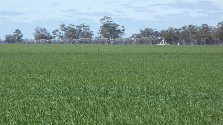139 Packer Road Bordertown South SA 5268 - Image 3