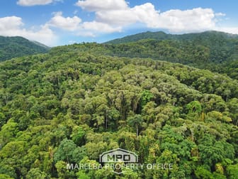 100 Churchill Creek Road Julatten QLD 4871 - Image 2