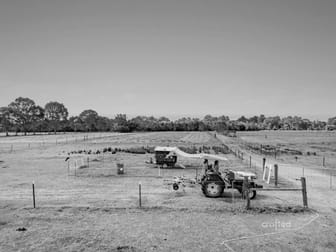 46 Clearwater Street Bethania QLD 4205 - Image 3