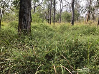 Lot 154 / 764 Hodzic Road Biboohra QLD 4880 - Image 1