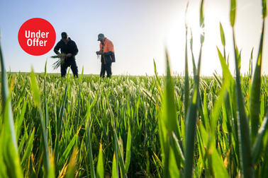 Click to view all images 1058 Haby Road Nildottie SA 5238 - Image 1