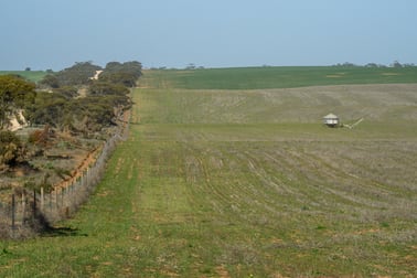 Lot 52 Haby Road Nildottie SA 5238 - Image 3
