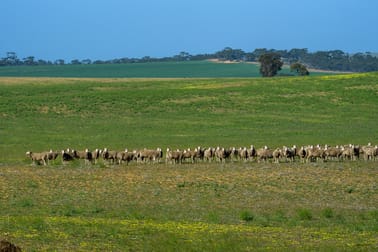 Lot 52 Haby Road Nildottie SA 5238 - Image 1
