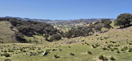 Lot 176 //405 Old Crudine Road Crudine NSW 2795 - Image 1