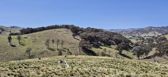 Lot 176 //405 Old Crudine Road Crudine NSW 2795 - Image 2