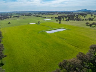 220 Lyons Road Lyndhurst NSW 2797 - Image 1