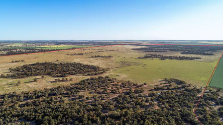 256 Cockies Road Buddabadah NSW 2825 - Image 2