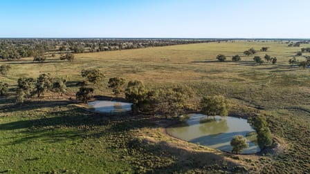 256 Cockies Road Buddabadah NSW 2825 - Image 3