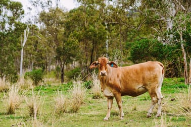 1250 Mount Hector Road Boyne Valley QLD 4680 - Image 2
