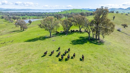 'Part Tarragatta' Vincents Road Talgarno VIC 3691 - Image 3