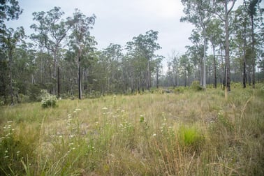 920 Cedar Party Road Cedar Party NSW 2429 - Image 3