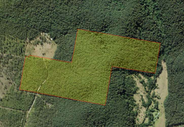 140 Sawpit Road Boolambayte NSW 2423 - Image 2