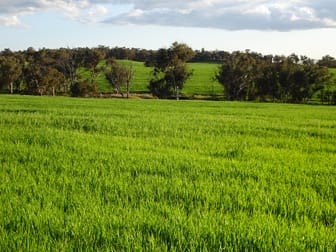 Lot 10661 North Wandering Road Hastings WA 6308 - Image 2