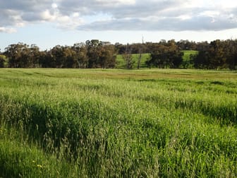 Lot 10661 North Wandering Road Hastings WA 6308 - Image 3