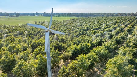 Sepelts Road Barooga NSW 3644 - Image 2