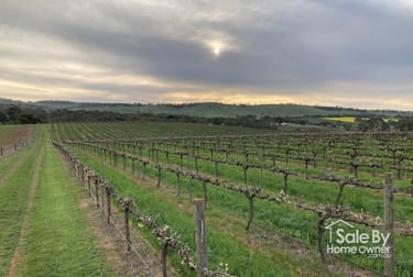 Lot 302 Burra Street Mintaro SA 5415 - Image 1