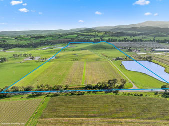 737 Maroondah Highway Coldstream VIC 3770 - Image 2