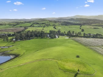 737 Maroondah Highway Coldstream VIC 3770 - Image 3