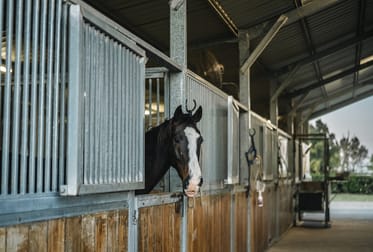 134 Bathurst Street Pitt Town NSW 2756 - Image 2