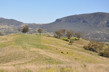 Click to view all images 'Figtree' Rouchel Gap Rd Mccullys Gap NSW 2333 - Image 1