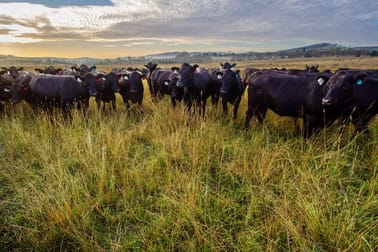 Lochaber, Oxley Highway Walcha NSW 2354 - Image 1