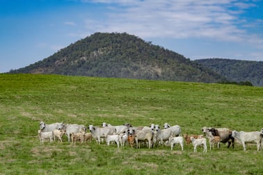 1890 Maleny Kenilworth Road Conondale QLD 4552 - Image 3