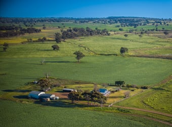 637 Mia Mia Road Purlewaugh NSW 2357 - Image 1