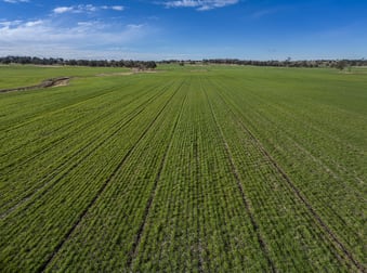 637 Mia Mia Road Purlewaugh NSW 2357 - Image 2