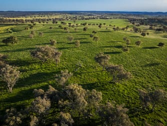 637 Mia Mia Road Purlewaugh NSW 2357 - Image 3