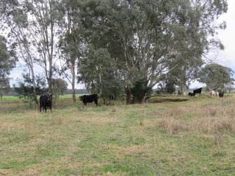 44 Horseshoe Road Sale VIC 3850 - Image 3