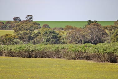 Lot 14 Kulin/Dudinin Road Dudinin WA 6363 - Image 1