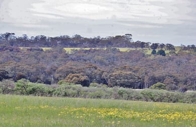 Lot 14 Kulin/Dudinin Road Dudinin WA 6363 - Image 3