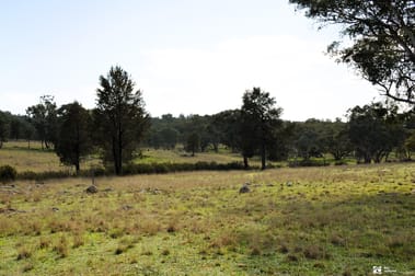The Springs Road, Benolong, Lot 25 in DP 753232 Yeoval NSW 2868 - Image 3