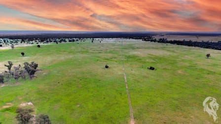 1857 Stumpy Lane Wee Waa NSW 2388 - Image 1