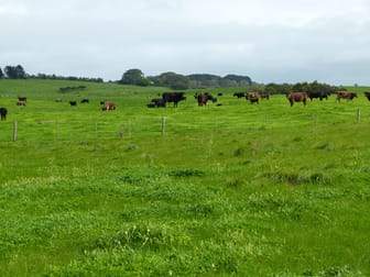 Southern Ports Hwy Rendelsham SA 5280 - Image 1