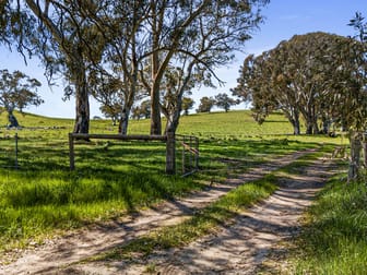 Lot 197 Craneford Road Flaxman Valley SA 5235 - Image 1