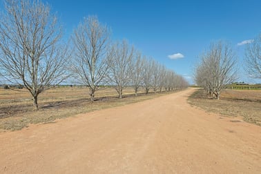 28 Brett Road Euston NSW 2737 - Image 3